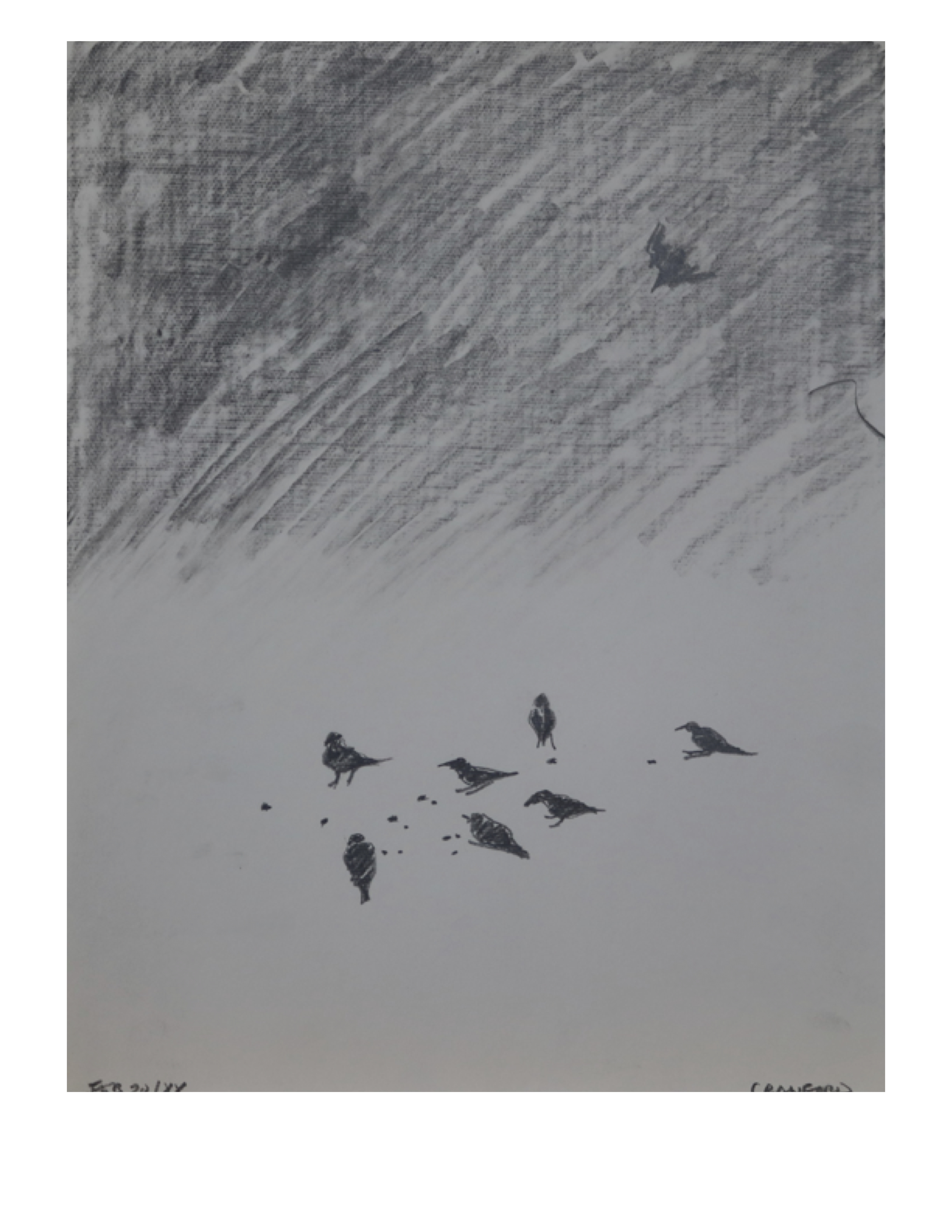 Birds, Feb 20, 1988, pencil on paper, 21.6 cm x 28 cm